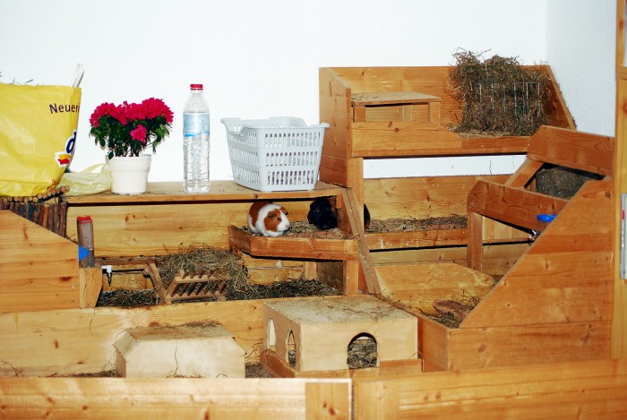 Meerschweinchen Käfig Eigenbau